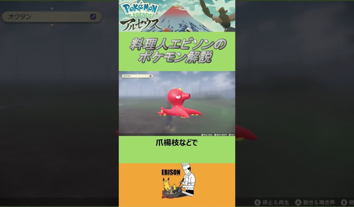 エビソンのポケモン解説174　#ポケモン #レジェンズ  #オクタン