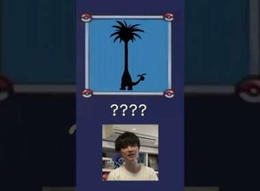 このポケモンわかる人おる？？？？？