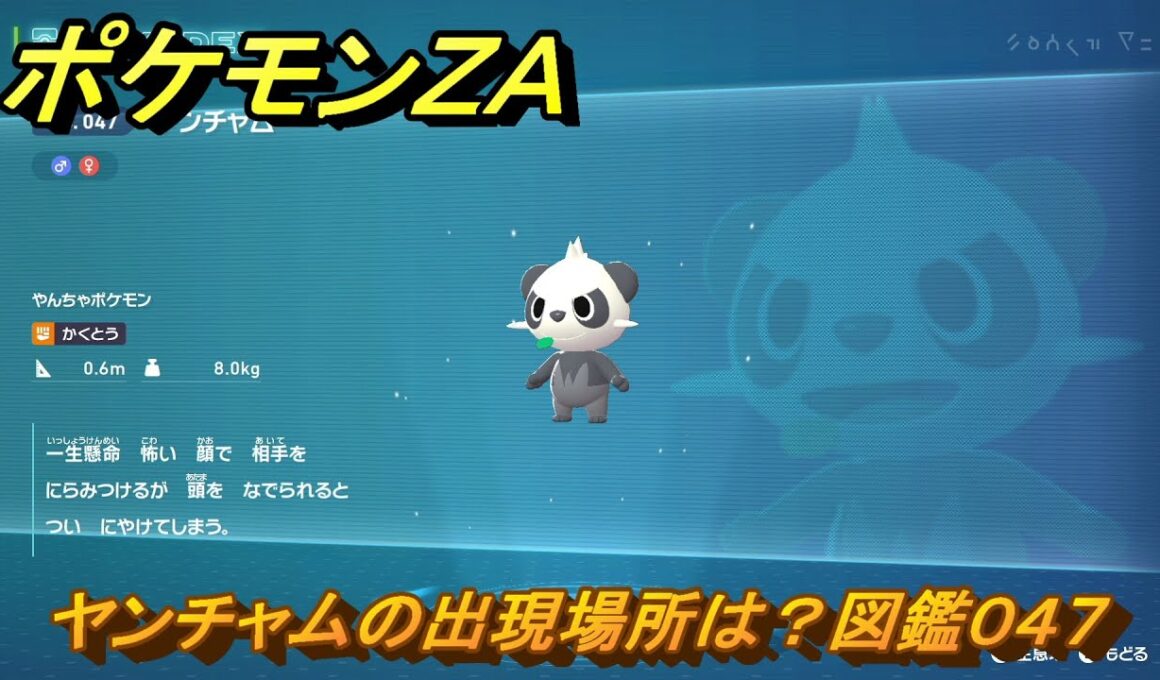 ポケモンＺＡ　ヤンチャムの出現場所は？図鑑０４７　＃２８　【Pokémon LEGENDS Z-A】