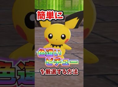【朗報】色違いピチューが超簡単に厳選できる！！！ #ポケモンレジェンズza