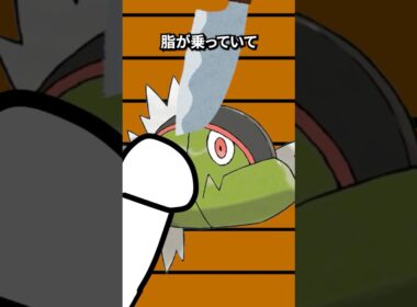 ポケモンの雑学3選Part400 #なぞはな #ポケモン #ポケモンカード #ポケモンオリジナルアニメ #ポケポケ #shorts #ポケモンza #ペンドラー #ビビヨン #バスラオ #メガシンカ