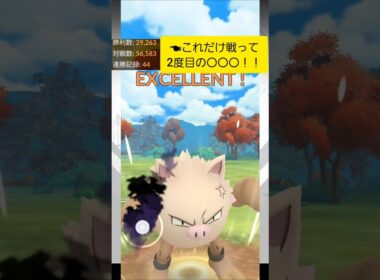 【暴走】オコリザル1匹で〇〇！！50000戦で2度目の…！