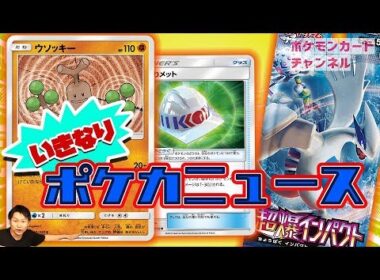 【初公開】カタいぞ！ウソッキー＆こだわりメット【ポケカ最新情報】