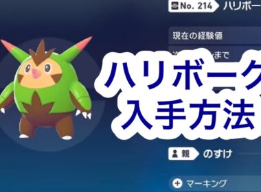 【ポケモンZA】ハリボーグ入手方法