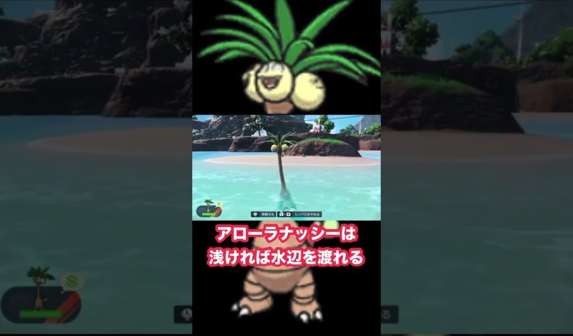 【ポケモンSV】小ネタ アローラナッシーは浅ければ水辺を渡れる #ポケモンsv #小ネタ #アローラナッシー