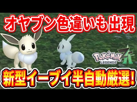 【ポケモンZA】半自動で超簡単！オヤブン色違いイーブイ厳選方法！【ポケモンレジェンズZA】