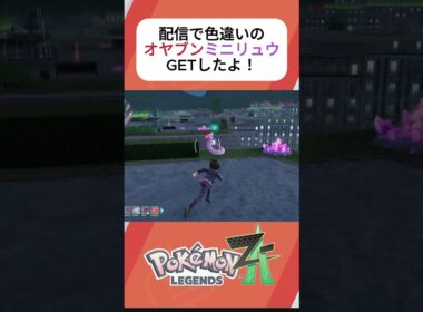 【ポケモンレジェンズZA】色違いのオヤブンミニリュウをGETしたよ！！#ポケモン #ポケモンza #ポケモンレジェンズza #ポケモン色違い #pokemonlegendsza #ミニリュウ