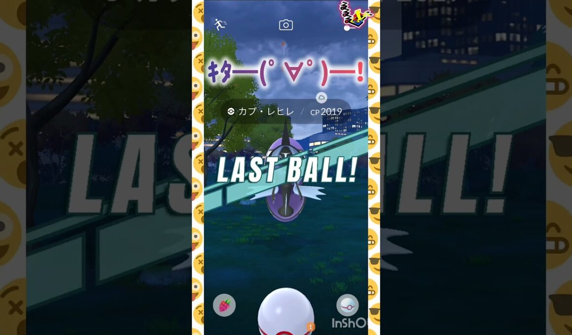 カプ・レヒレ💧💜‪🫧🩵🐋 ⸜( *´꒳`*)ฅ"ฅ( *´꒳`*)⸝ #pokemongo