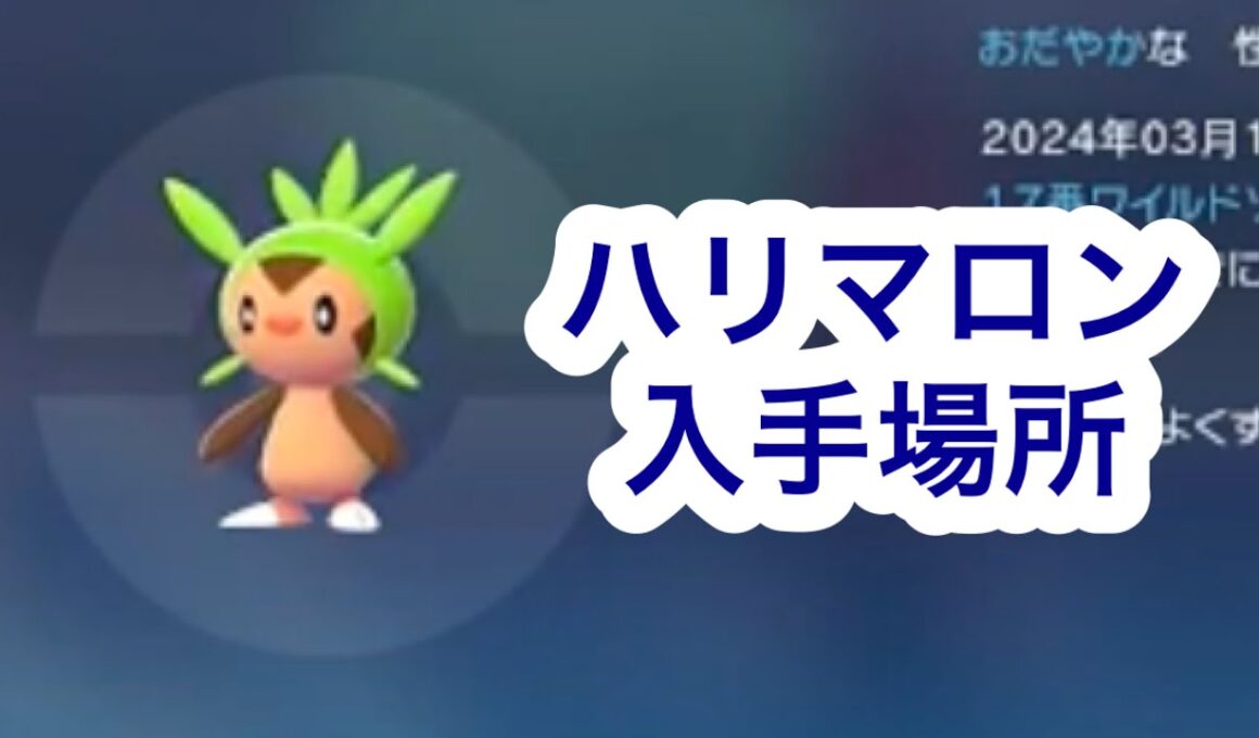 【ポケモンZA】ハリマロン入手場所