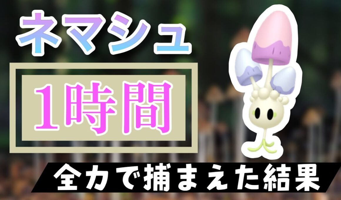 【ポケモンGO】田舎でネマシュのスポットライトアワーをやった結果