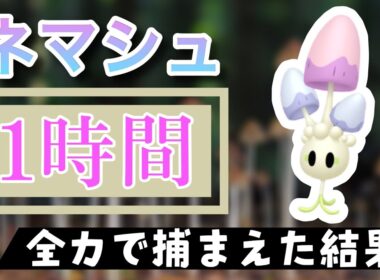 【ポケモンGO】田舎でネマシュのスポットライトアワーをやった結果
