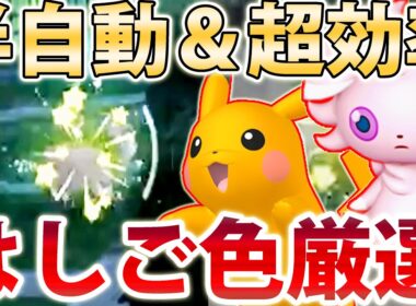 【自動色厳選】高効率＆超簡単なはしご色厳選を紹介！ワイルドゾーン３が色違いで埋まります【ポケモンレジェンズZA/Pokémon LEGENDS Z-A】