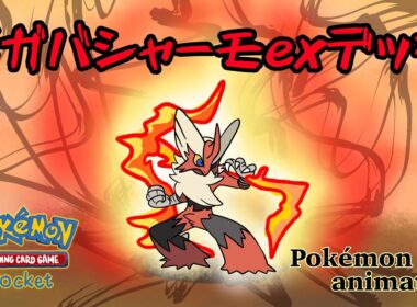 【ポケモンアニメーション】メガバシャーモexデッキ