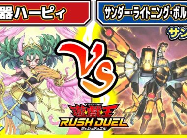 【#遊戯王】地道に育て続ける！！「楽器ハーピィ」vs「サンダー・ライトニング・ボルコンドル」【#対戦】【#ラッシュデュエル】