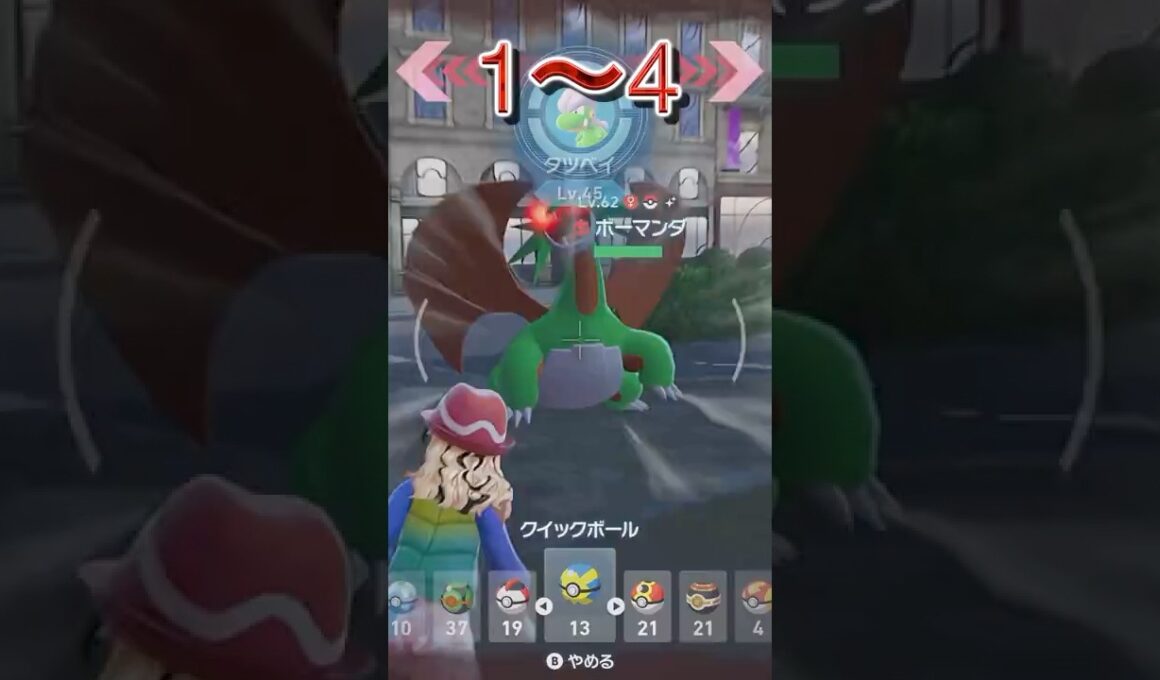 チルット厳選で出た色違い16連発