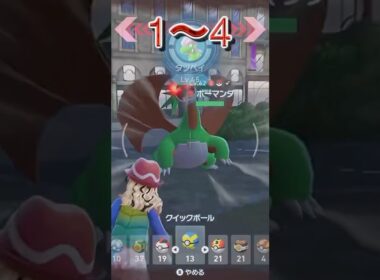 チルット厳選で出た色違い16連発