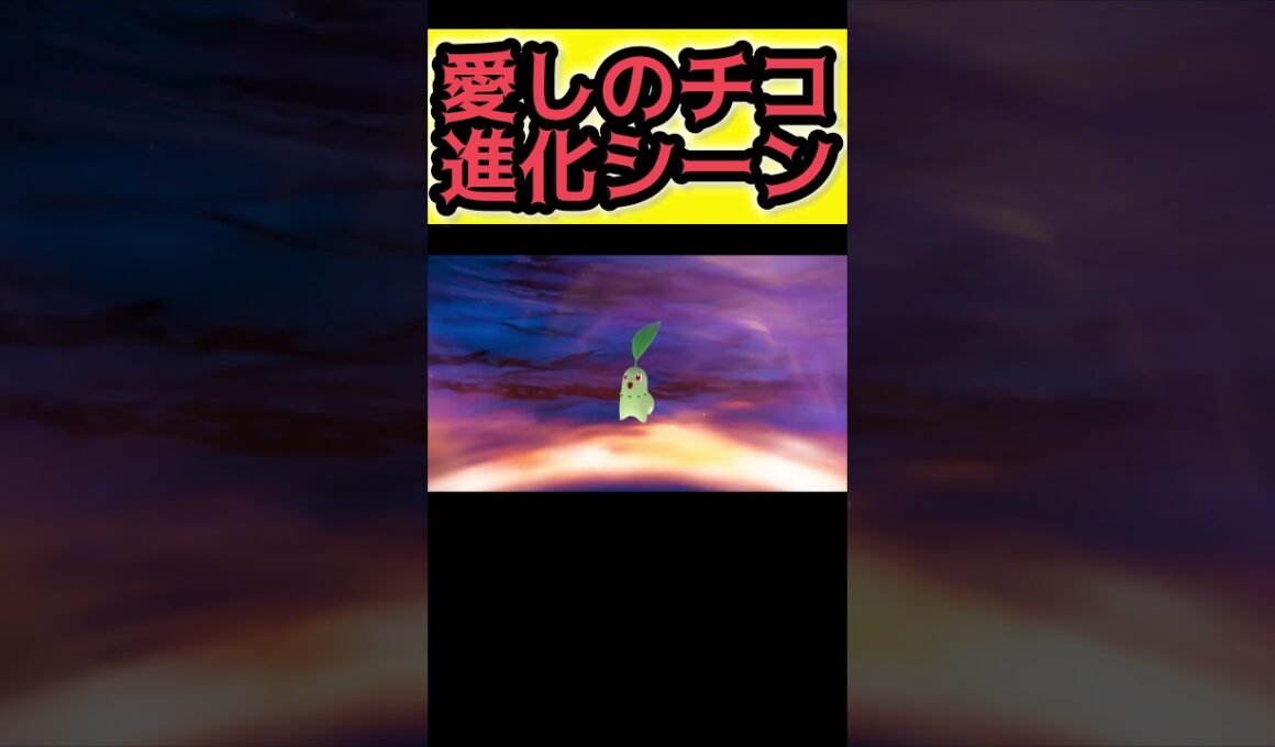相棒のチコリータ進化した【Pokémon LEGENDS Z-A】#ポケモンレジェンズza #pokemonlegendsza #ポケモン #ポケモンza #pokemon
