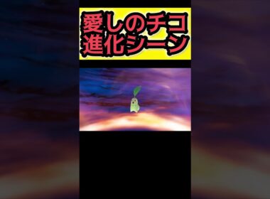 相棒のチコリータ進化した【Pokémon LEGENDS Z-A】#ポケモンレジェンズza #pokemonlegendsza #ポケモン #ポケモンza #pokemon