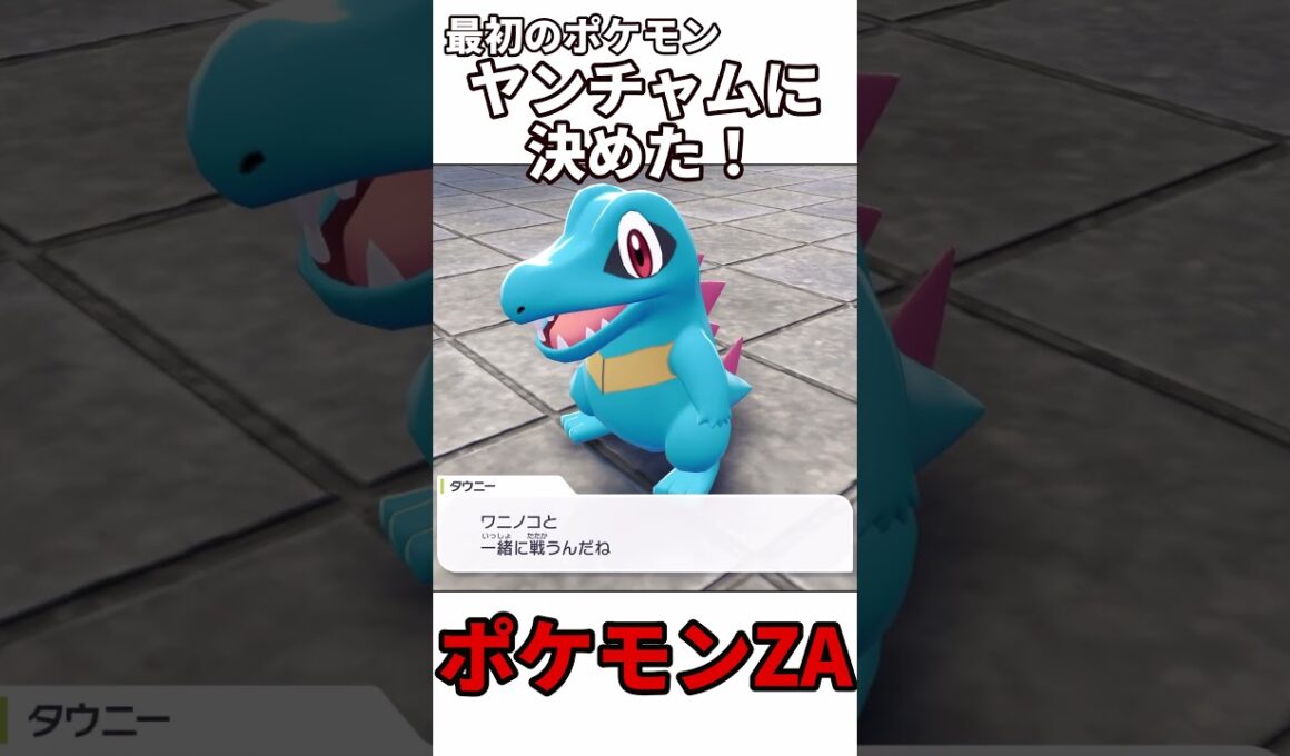 【ポケモンレジェンズZA】最初のポケモンはヤンチャムに決めた！！#shorts#ポケモン#ポケモンZA