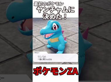 【ポケモンレジェンズZA】最初のポケモンはヤンチャムに決めた！！#shorts#ポケモン#ポケモンZA