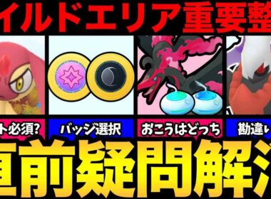 ワイルドエリアの疑問を解消！チケット買う？選択肢はどっち？おこうはどうする？情報整理して勘違いにも注意！【 ポケモンGO 】【 GOバトルリーグ 】【 GBL 】【  】