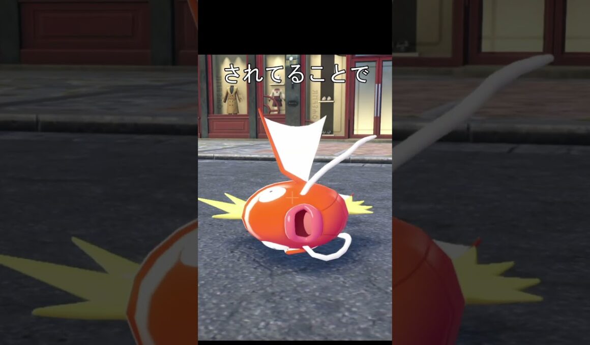 コイキング大漁に一本釣り #ポケモン #ポケモンza #ポッ拳 #コイキング