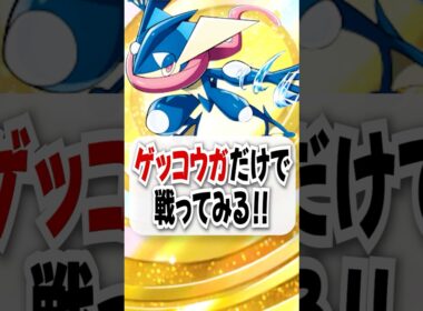 【検証】ゲッコウガでブラッキー軍団を撃破!?
