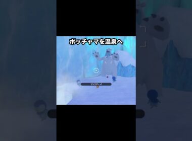 【ポッチャマ三兄弟】温泉でくつろぐポッチャマの群れ #ポケモン #newポケモンスナップ