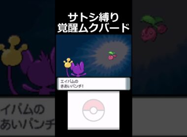 ハクタイジム！VSナタネ！！【ダイヤモンドパールサトシ縛り】