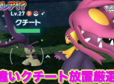 【超激レア】誰でも簡単にできる色違いクチートの放置厳選がやばすぎるwww【レジェンズZA】