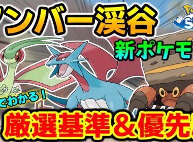 【ポケスリ】意外な厳選優先度！？  フライゴン・ボーマンダ・イワパレスの厳選基準＆厳選優先度を徹底考察！！【ポケモンスリープ】【微課金】