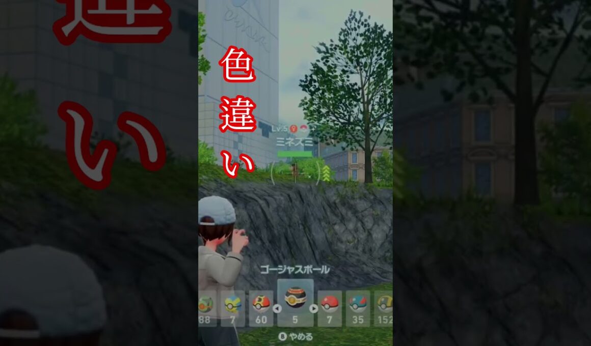 色違いミネズミ!