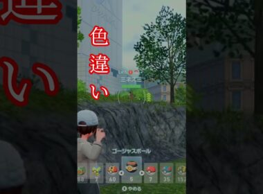 色違いミネズミ!