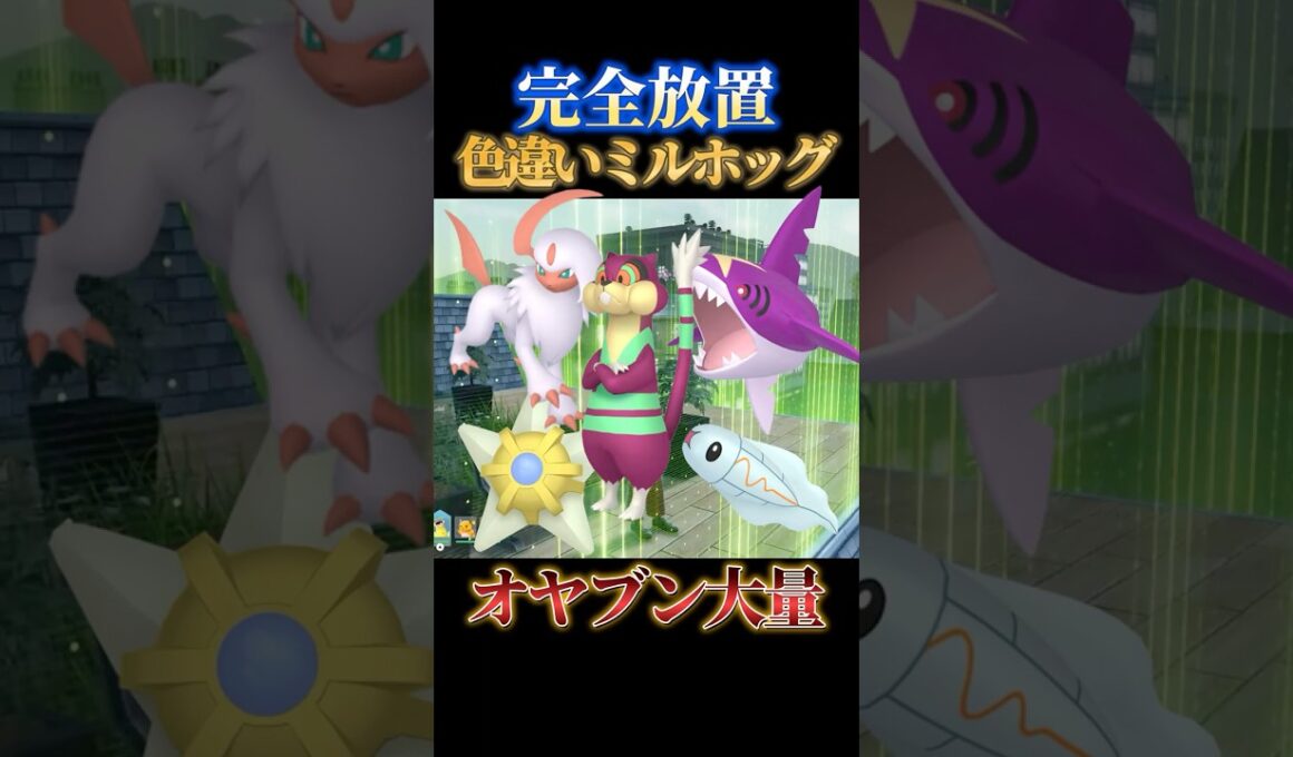 【ランキング急上昇】オヤブン色違いミルホッグとアブソルとヒトデマンを同時に厳選できるか隠れ神スポット【ポケモンZA】#shorts #ポケモン #つっつー #pokemon