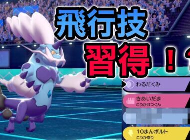 サンダー環境をぶっ壊す霊獣ボルトロスが熱い！【ポケモン剣盾】【ボルトロス】