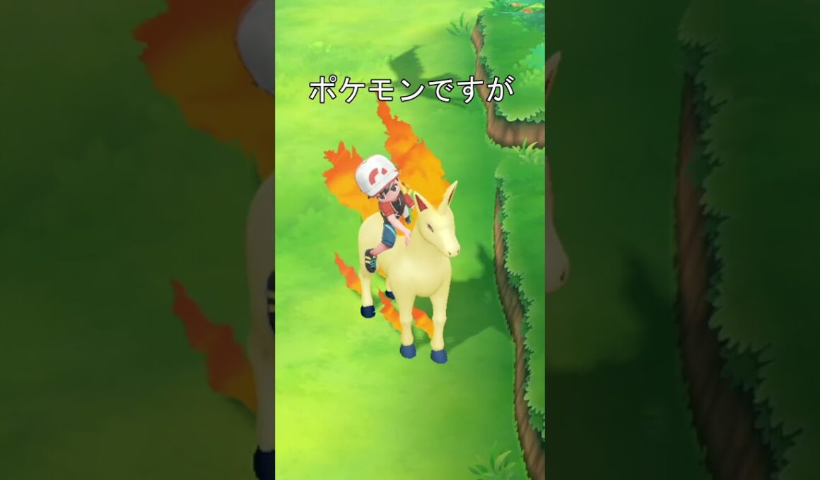 ギャロップを木の小屋で飼育　#ポケモン #ポッ拳