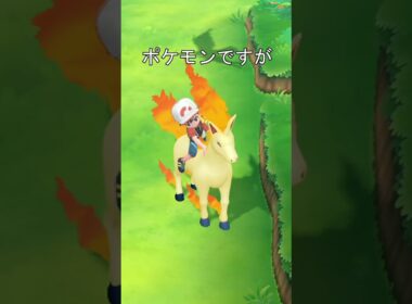 ギャロップを木の小屋で飼育　#ポケモン #ポッ拳