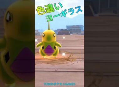 色違いヨーギラス光った‼️【ポケモンZA】#shorts  #ヨーギラス#厳選 #色違い #ポケモン #ポケモンza
