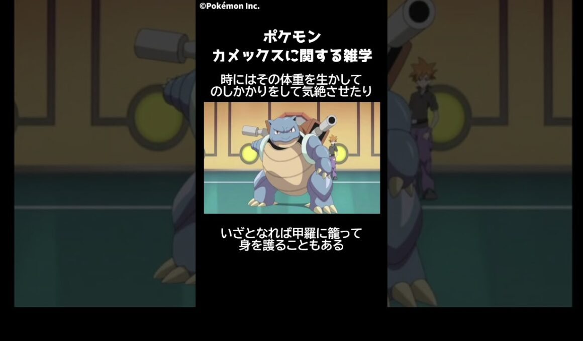 ポケモン 1分でわかるカメックスに関する豆知識 Pokemon #ポケモン #ポケモンsv #switch