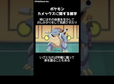 ポケモン 1分でわかるカメックスに関する豆知識 Pokemon #ポケモン #ポケモンsv #switch