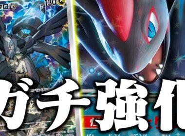 【環境TOP確定】『成った』な…Nのゾロアークexが超絶強化で環境激変まったなし【MEGAドリームex】【Nのゼクロム】【ポケカ/対戦】