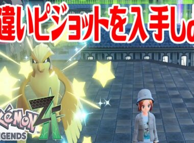 【ポケモンZ-A】色違いピジョットを入手しよう【Pokémon LEGENDS Z-A】