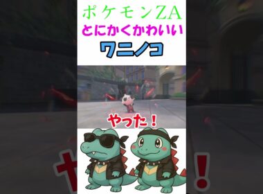 【PoKeMoN LEGENDS ZｰA】とにかくかわいいワニノコ！！