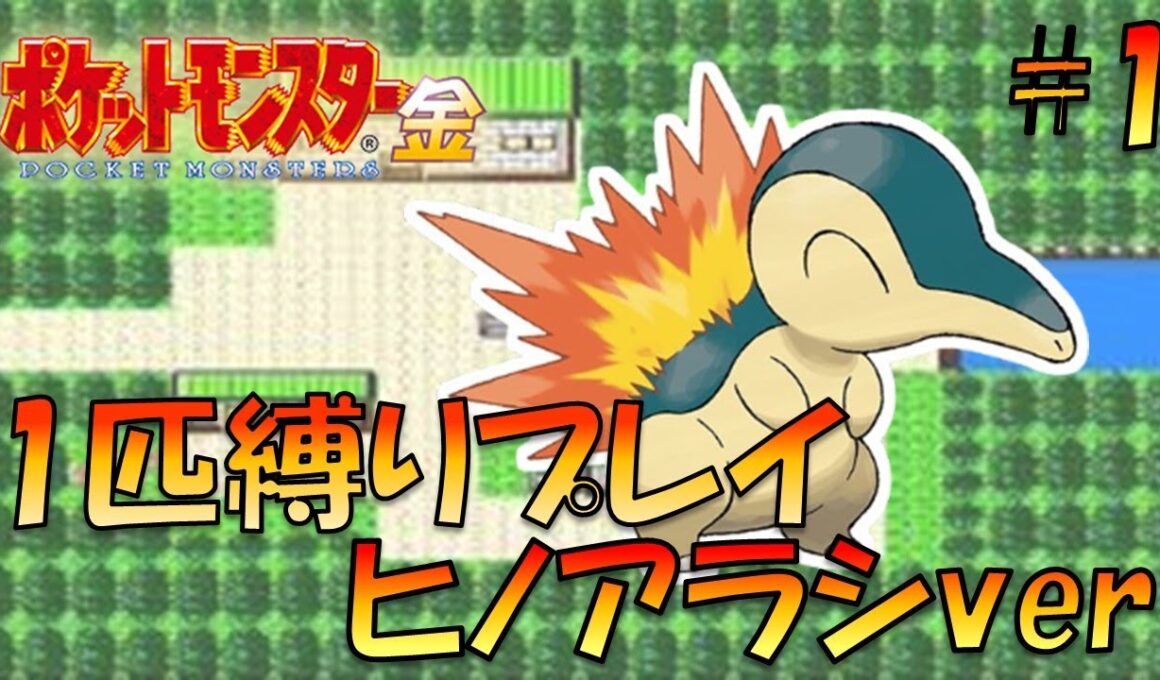 【ポケモン金銀】ポケモン1匹縛りプレイ!!ヒノアラシきみに決めた！part1【ゲーム実況】【縛りプレイ】