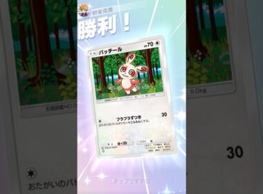 ベイビーを一撃粉砕し、exには5割を押し付ける有能 #ポケポケ#PTCGP#パッチール#ギラティナ#キュワワー