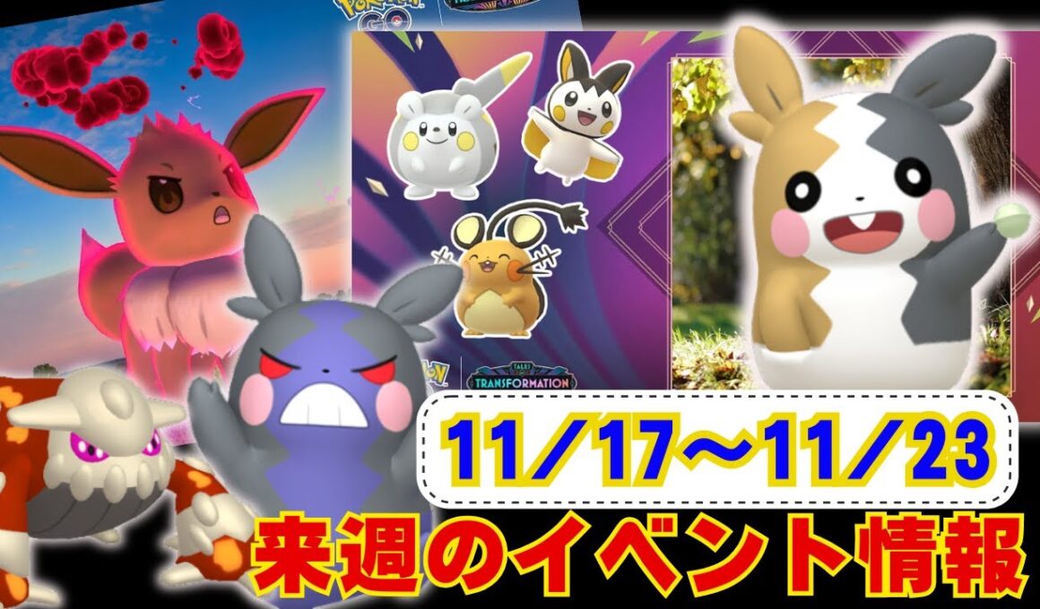 来週は色違いモルペコ初実装！週末はDMAXイーブイが登場！11月17日から11月23日までのイベントについてラジオ感覚でお聞きください【ポケモンGO】