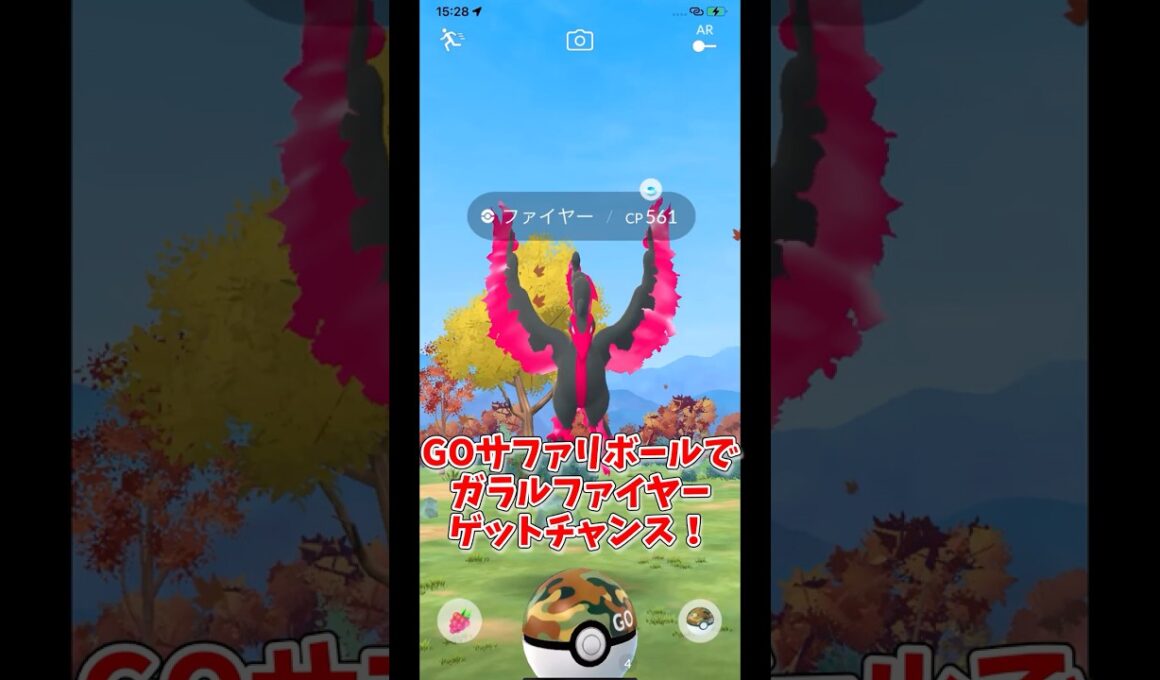 ガラルファイヤーをGOサファリボールでゲット！？ワイルドエリアグローバル2025#ポケモンgo #shorts