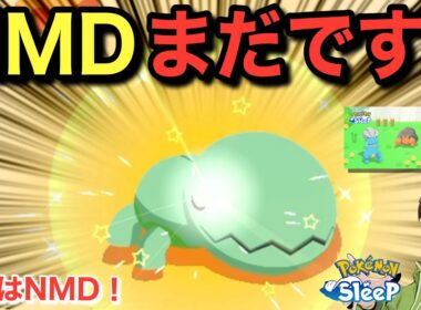 ﾌｧｰｯ！？アボカド色のナックラー!!🥑【ポケモンスリープ】【アンバー渓谷登場キャンペーン】無課金リサーチ844/829日目