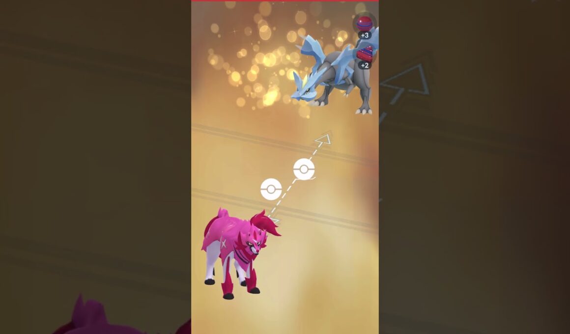 ✨キラ交換✨色違いザマゼンタ🔁キュレム #ポケモンgo #pokemongo #pokemongoshorts