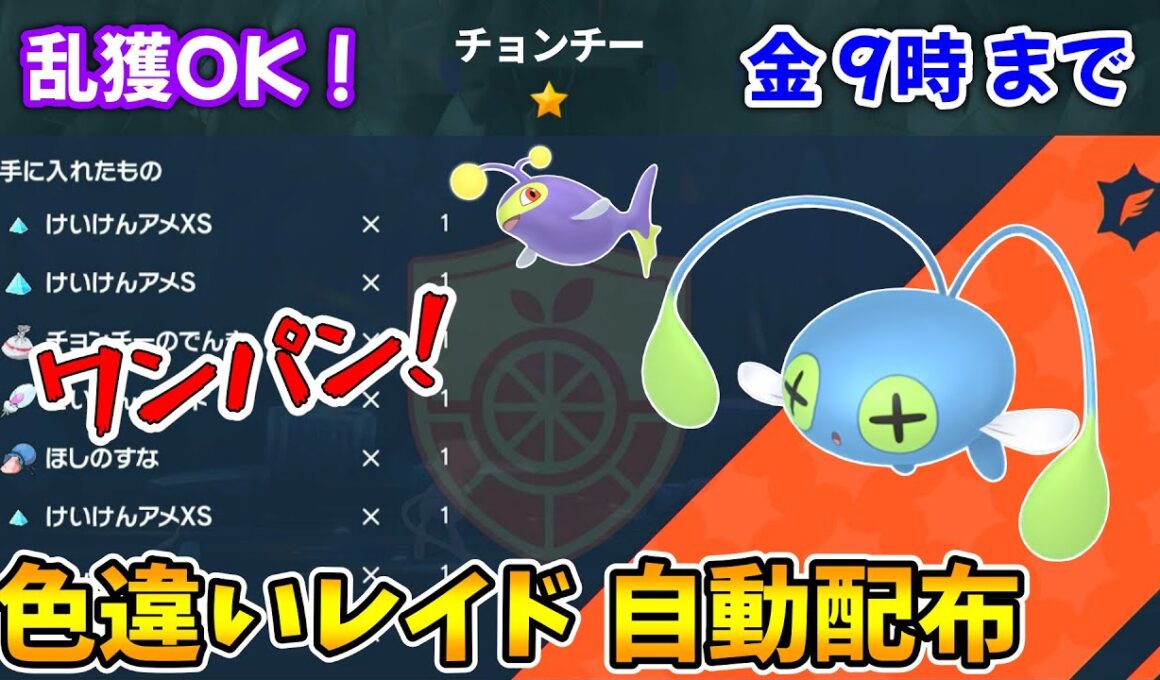 乱獲OK！チョンチー色違いレイド自動配布会！【ポケモンSV】